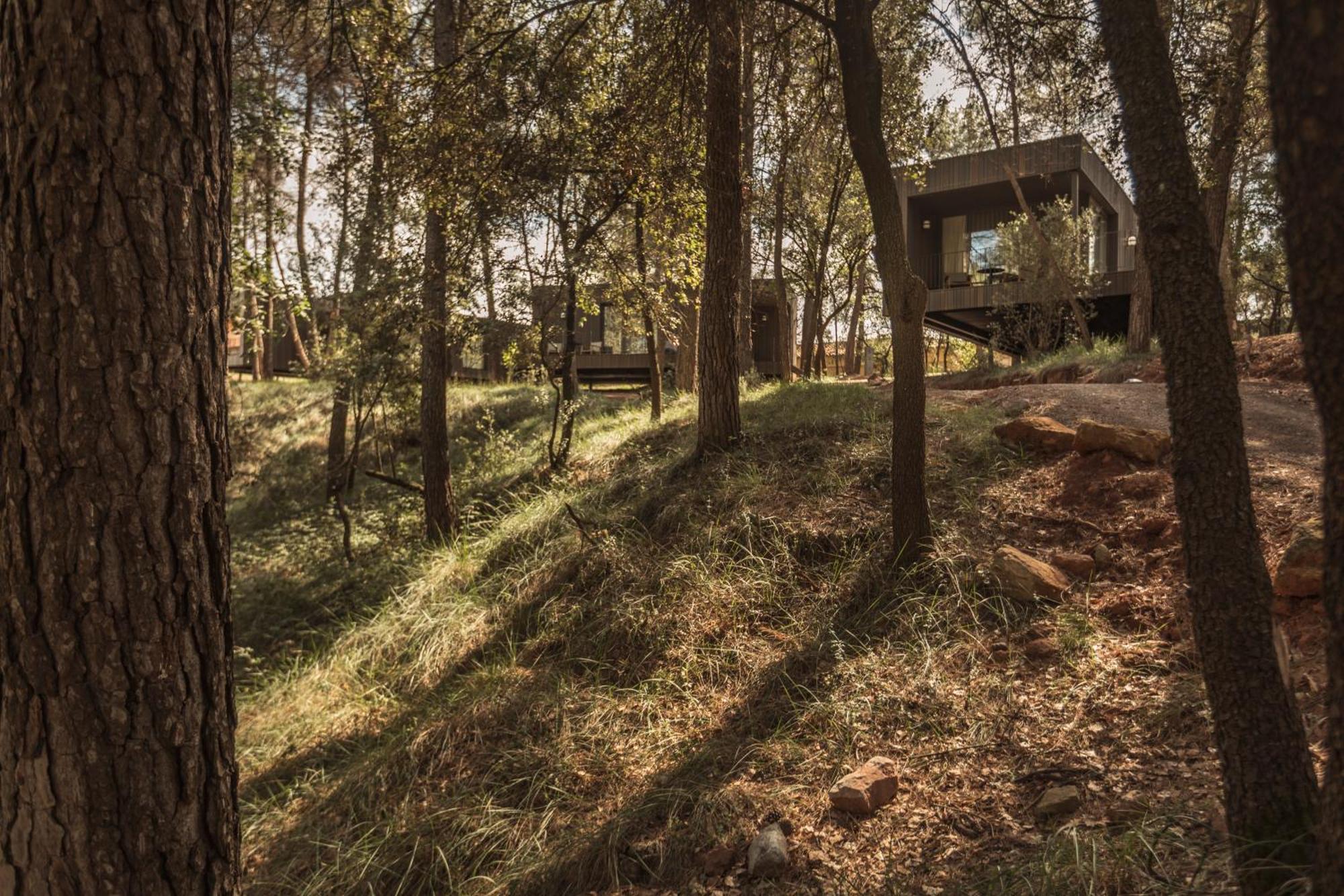 Les Cabanes De L'Oller Del Mas Manresa Exterior foto